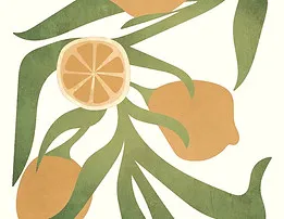 Restoring Wellness